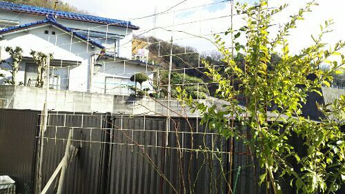 rblog-20180129185032-02.jpg
