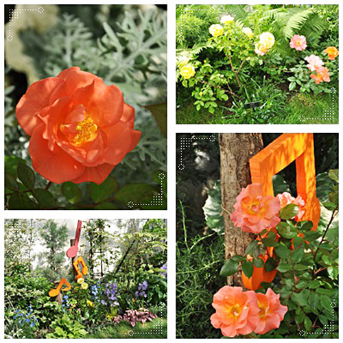 花4枚