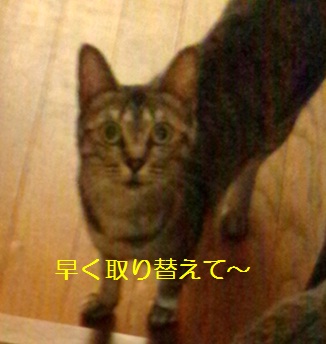 20120728_3.jpg