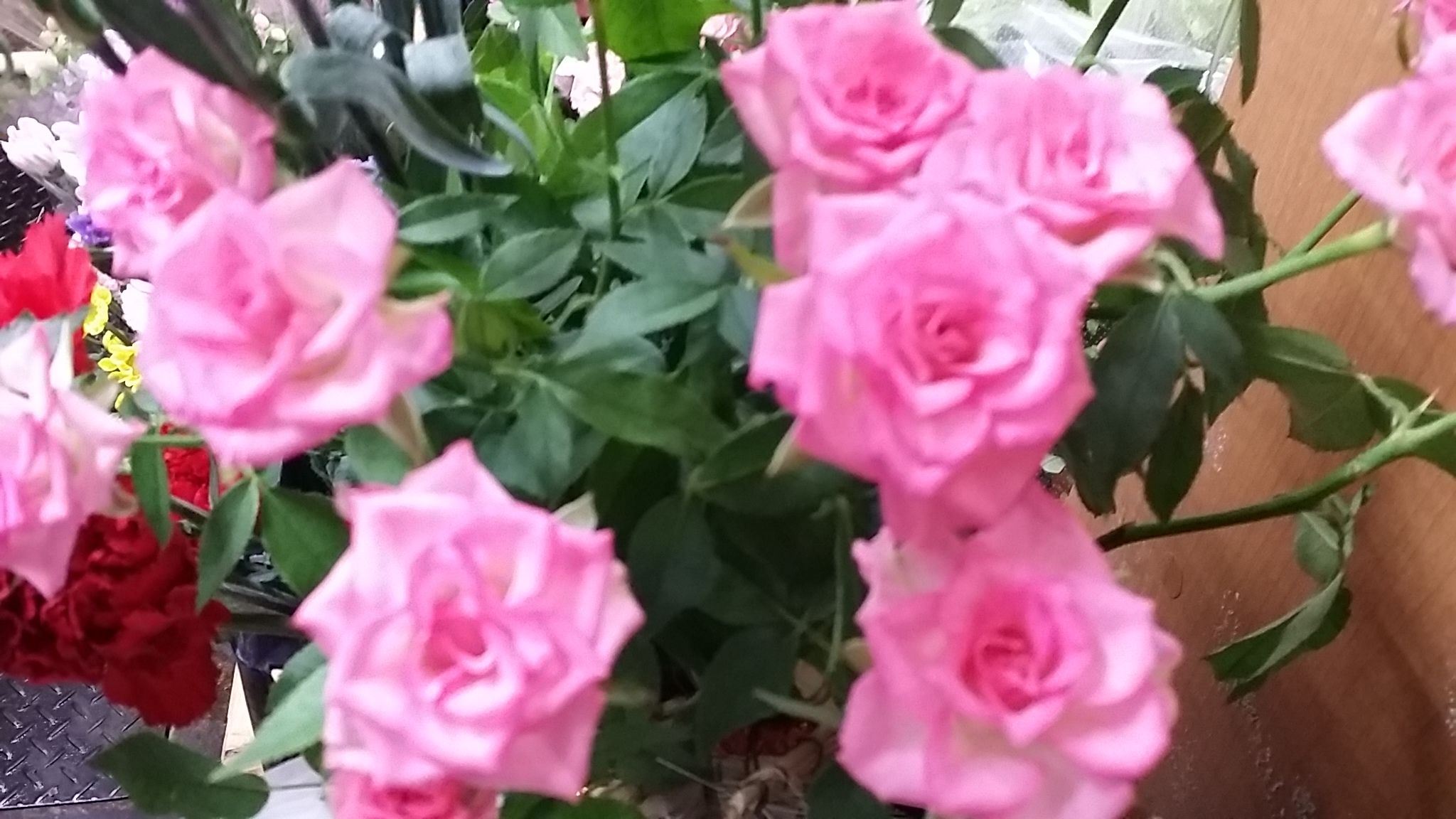 お盆さん 花屋な日々 楽天ブログ