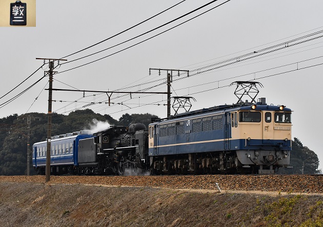 12 D500.JPG