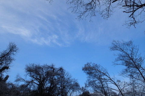 nitijou150110016