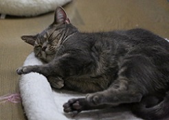 5DA_4537-19.jpg