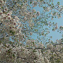 rblog-20150501105950-01.jpg