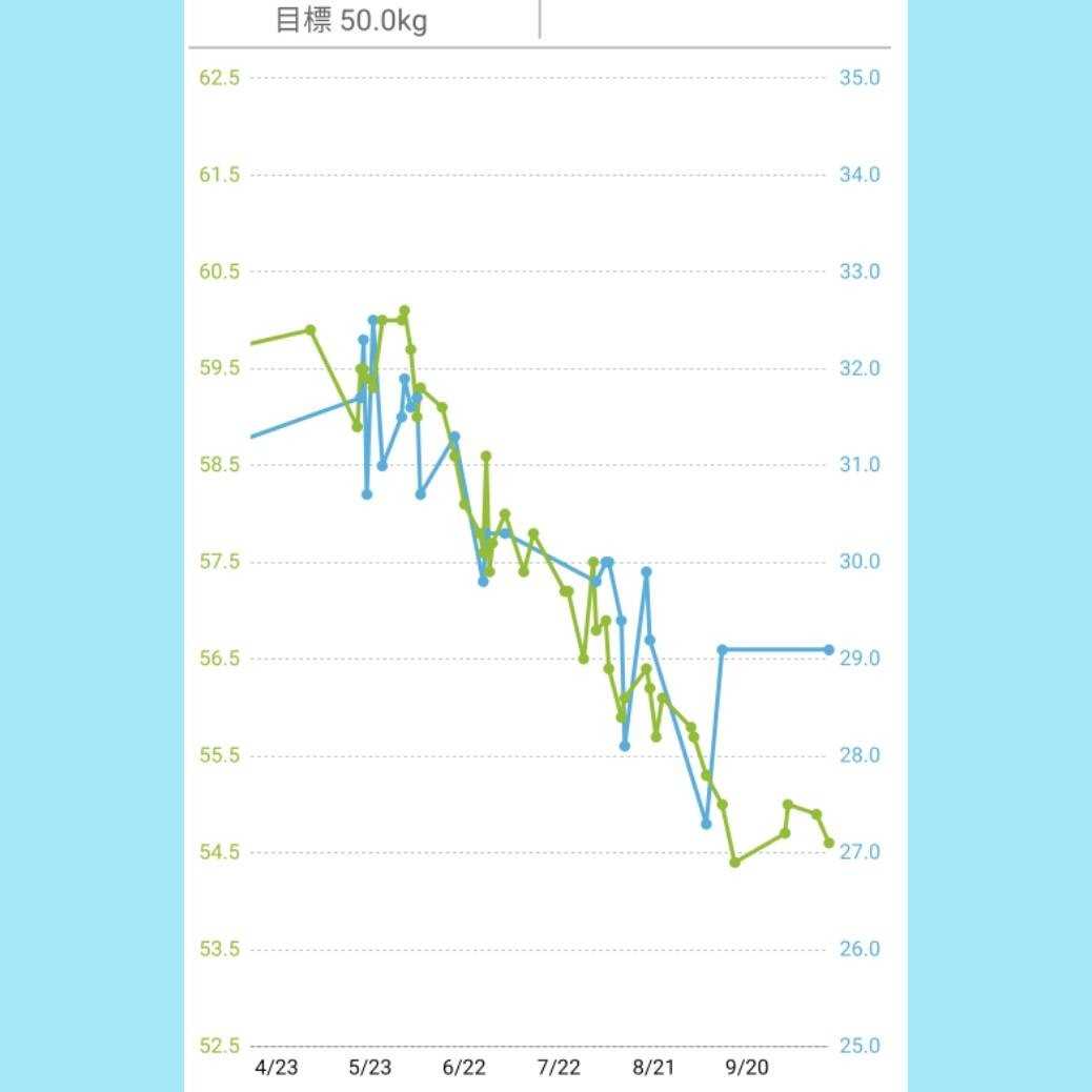 あすけんの体重グラフを公開 やっぱり布が好き ミシンのお仕事 楽天ブログ