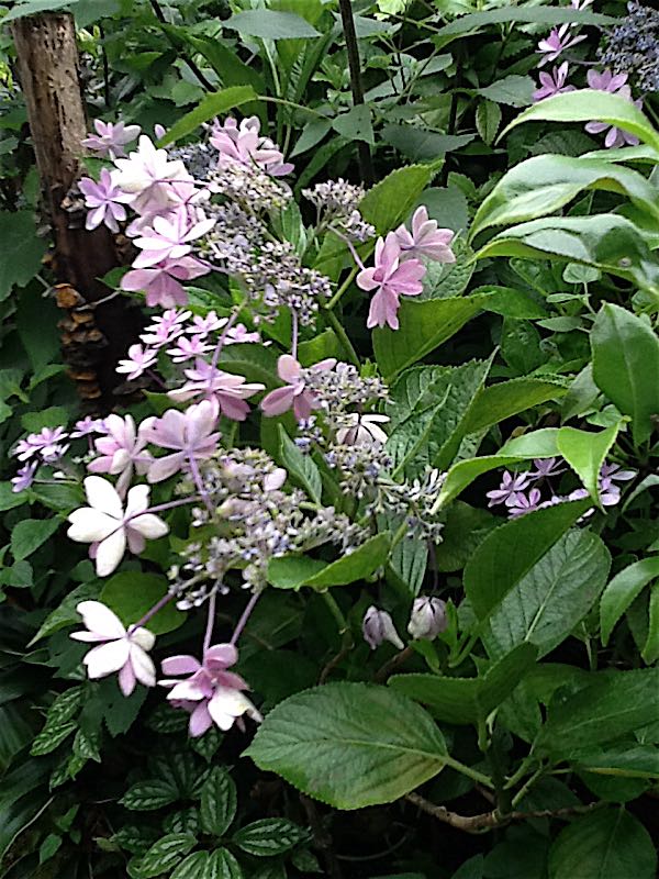 rblog-20150621163514-02.jpg