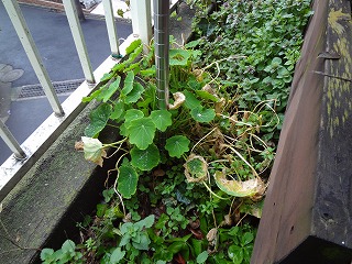 DSC00193.jpg