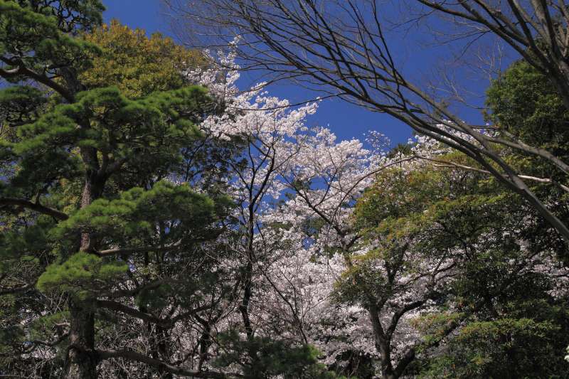 万博記念公園_004.jpg