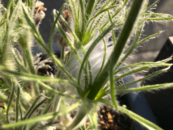 rblog-20180324163149-04.jpg