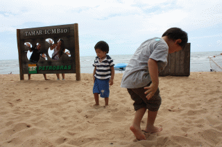 4.gif