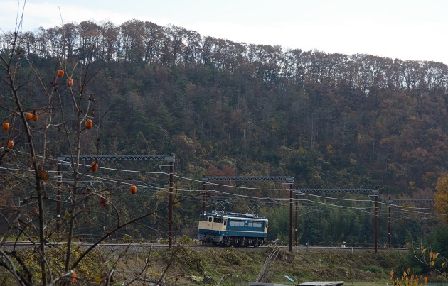 2014.11.30 2号　2.jpg