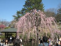IMG_4974_R.JPG