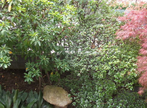 050.JPG