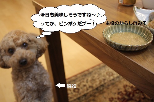 2015_0118_183823-IMG_4939.JPG
