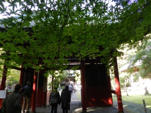 DSCN7965-2.jpg
