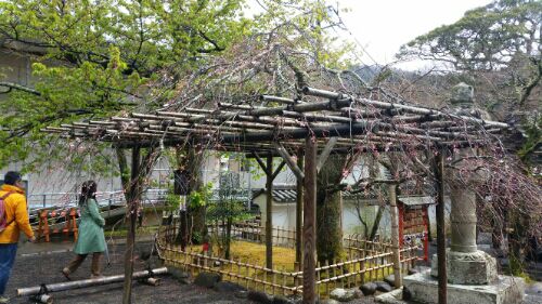 rblog-20160407222457-08.jpg