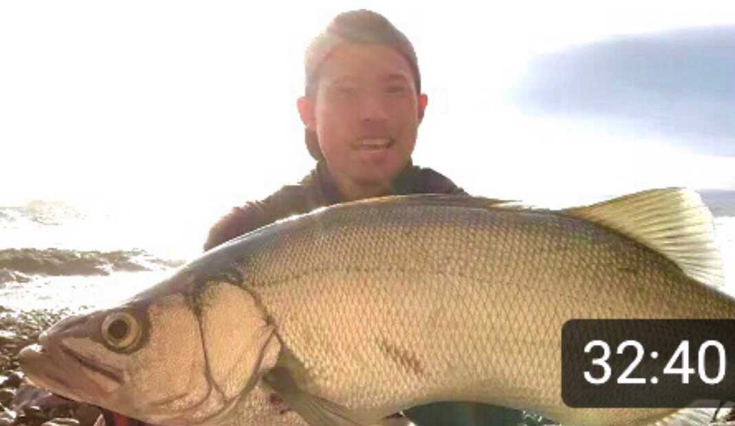 やる事成す事モンスター／釣りキャンプをこよなく愛す人には必見