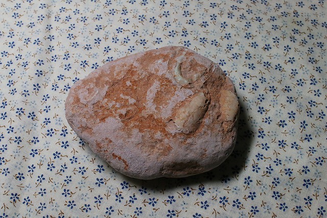 シェルオパールの原石