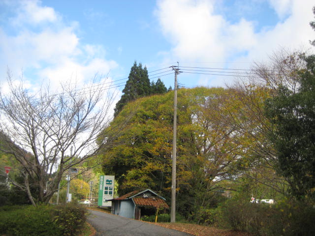 IMG_3780.JPG