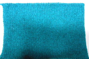 DSCN0415.JPG