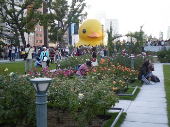 IMGP2111.jpg