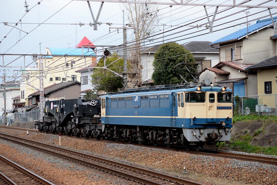 DSC_3021.JPG
