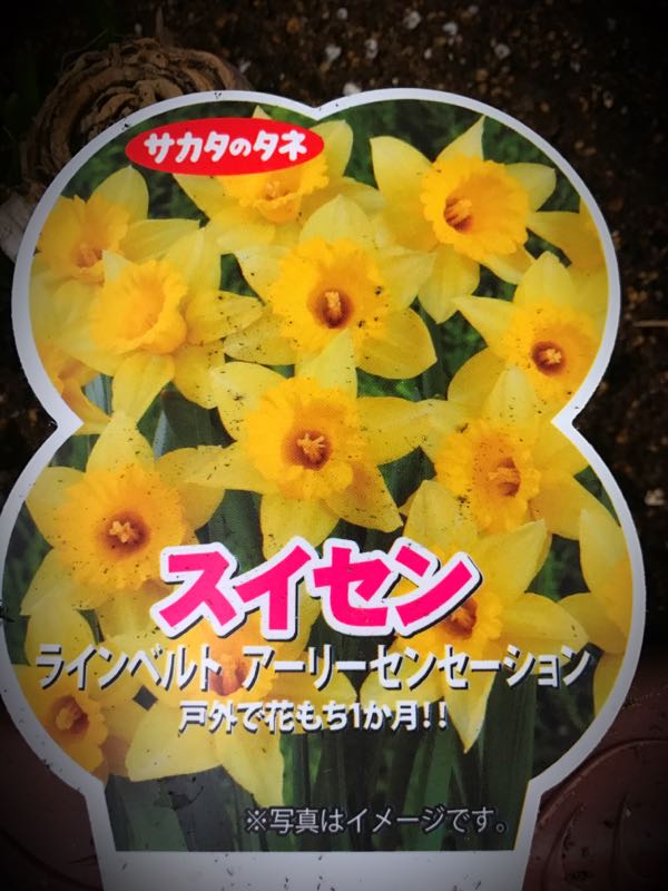 rblog-20161226172246-05.jpg