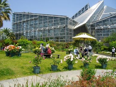 咲くやこの花館 プチ イングリッシュ ガーデン ぐうたらたぬき途中下車 楽天ブログ