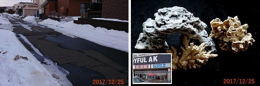 １２／２５こんなのを買ってきた.jpg