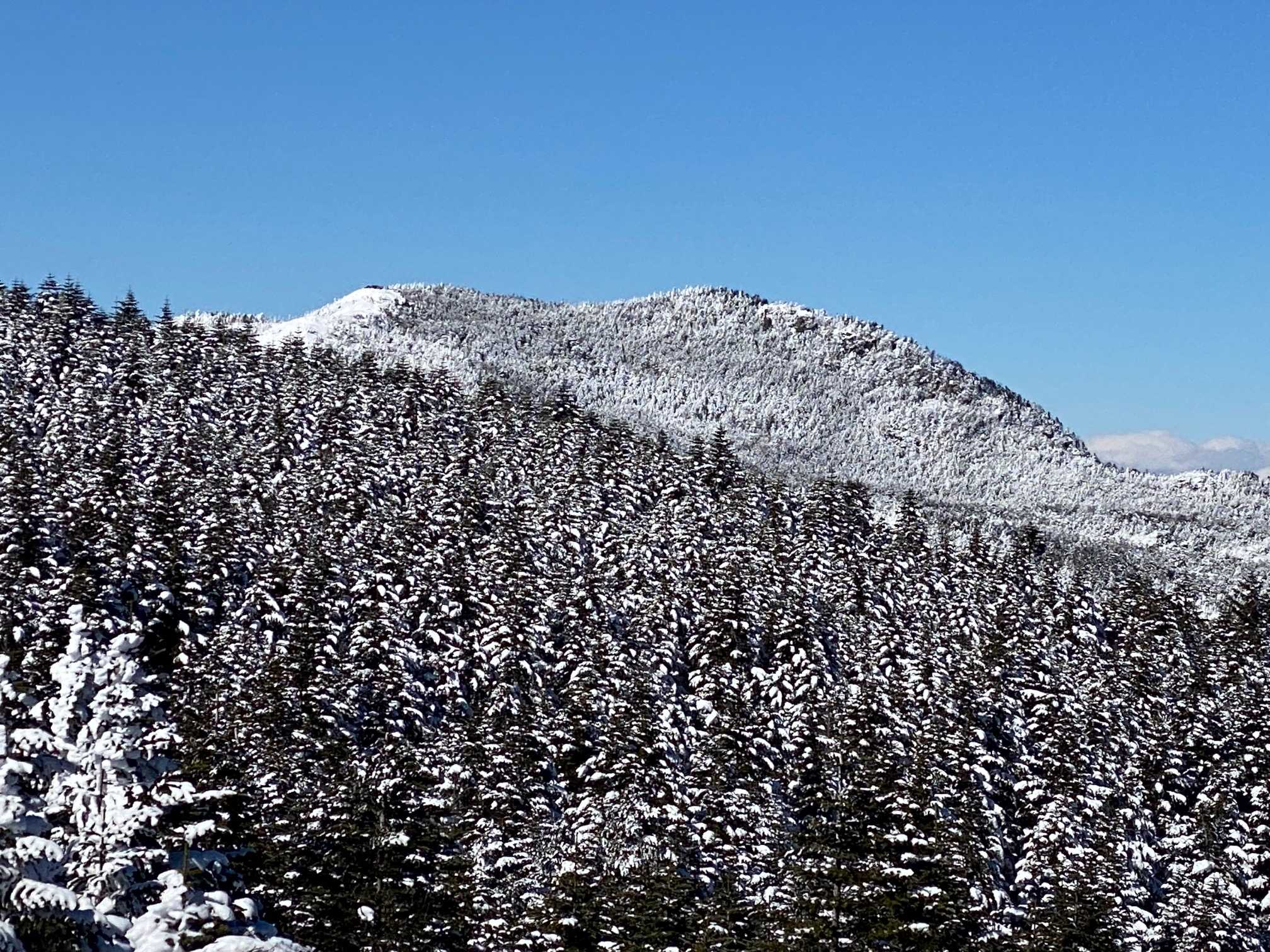 冬の縞枯山（しまがれやま・2,403m）・北横岳（きたよこだけ・2,480 m）（2）縞枯山 | 醍醐山と下部（しもべ）温泉 - 楽天ブログ