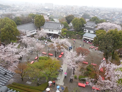 inuyama2.jpg