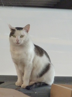 P1270090ss.jpg