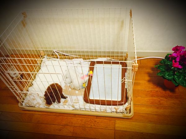 rblog-20151026195707-00.jpg
