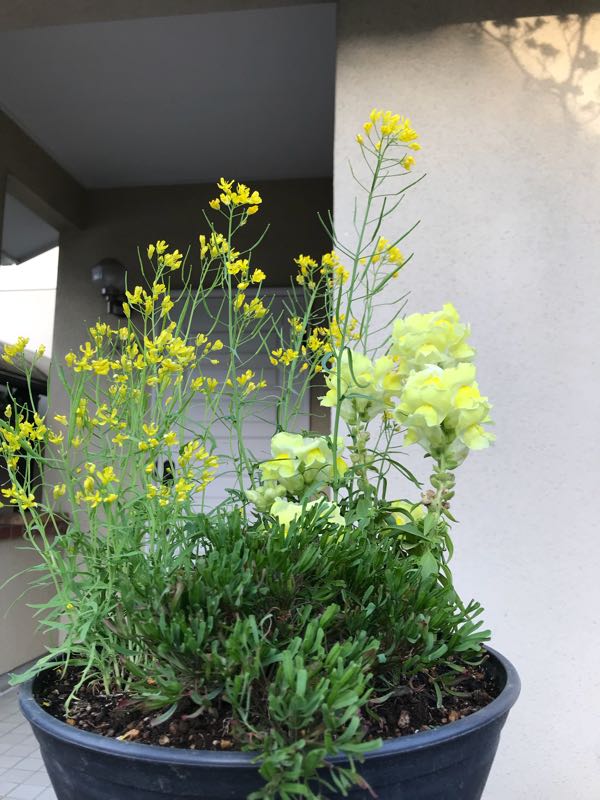 rblog-20180408180306-01.jpg