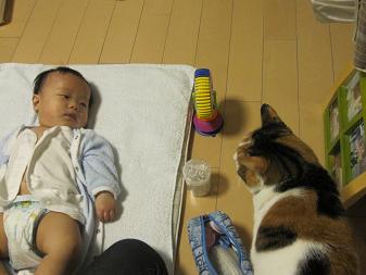 IMG_2981s.JPG