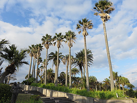 08 IMG_0634.jpg