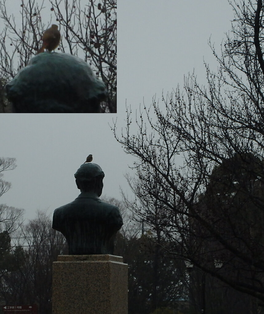 150309雨の１日ｂ.jpg