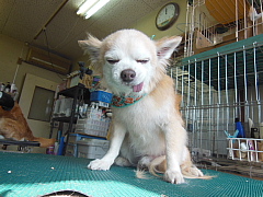 conv0601.JPG