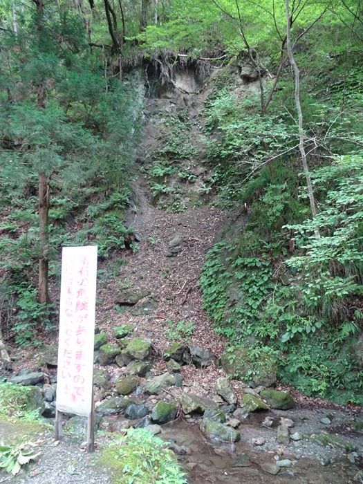 DSC06900_R.JPG