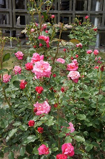 DSC01120ss.jpg