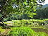 IMG_2882.JPG
