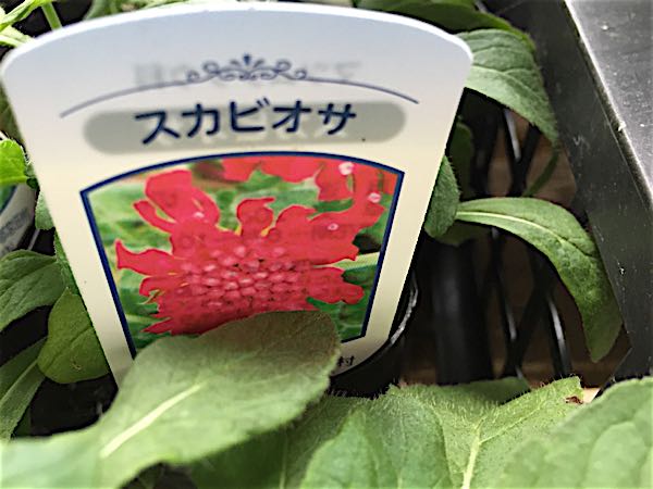 rblog-20160911170221-01.jpg