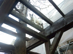 rblog-20130409064328-04.png