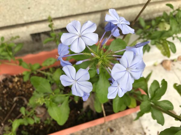 rblog-20180928162019-00.jpg