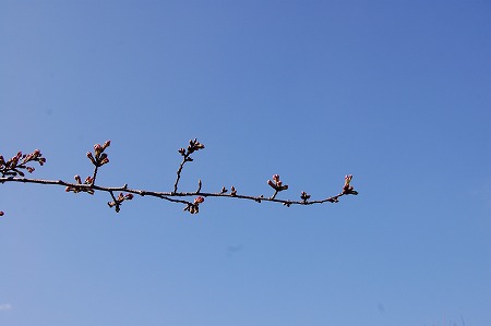 s-DSC_0002.jpg