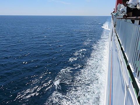 IMG_4741.jpg