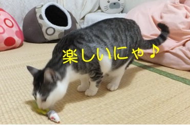 20121114_7.jpg