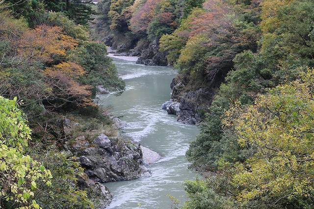 根尾川　紅葉