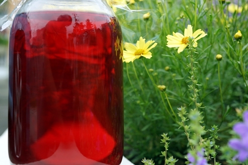 赤紫蘇ジュース