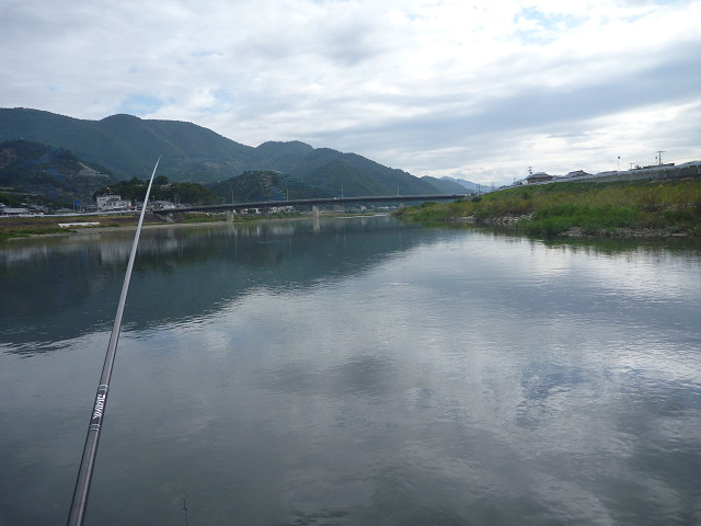 resize0026.jpg